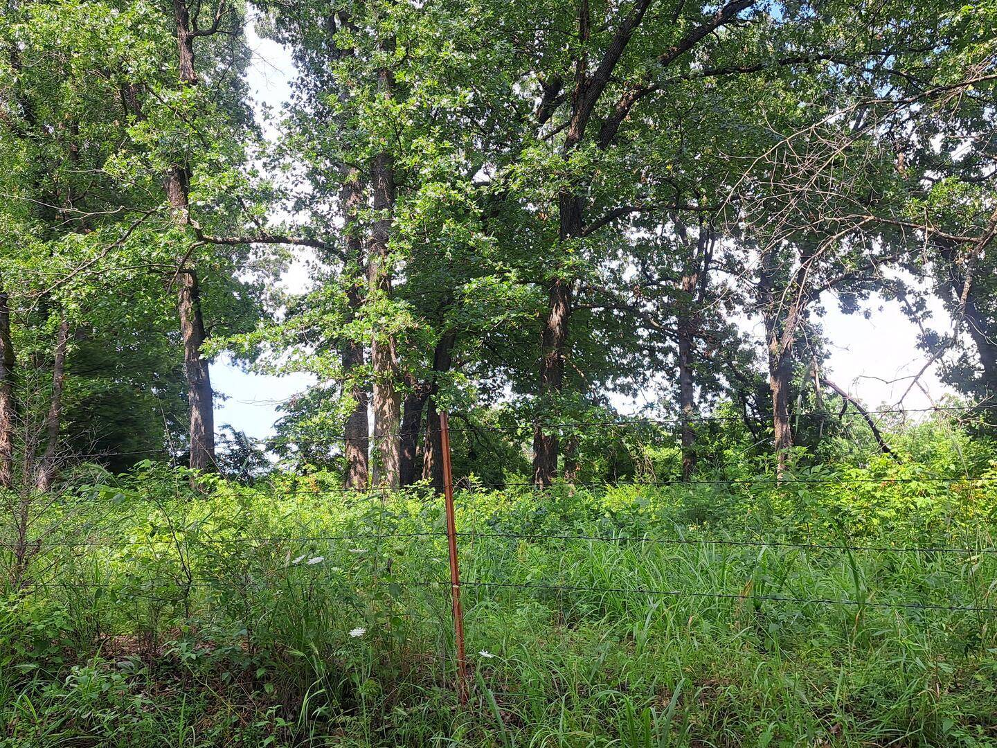 000 Little Mill RD, Granby, MO 64844