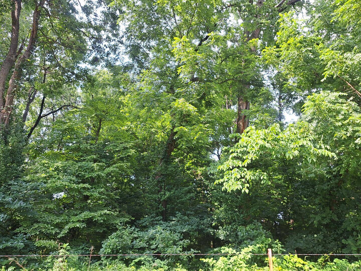000 Reindeer RD, Granby, MO 64844