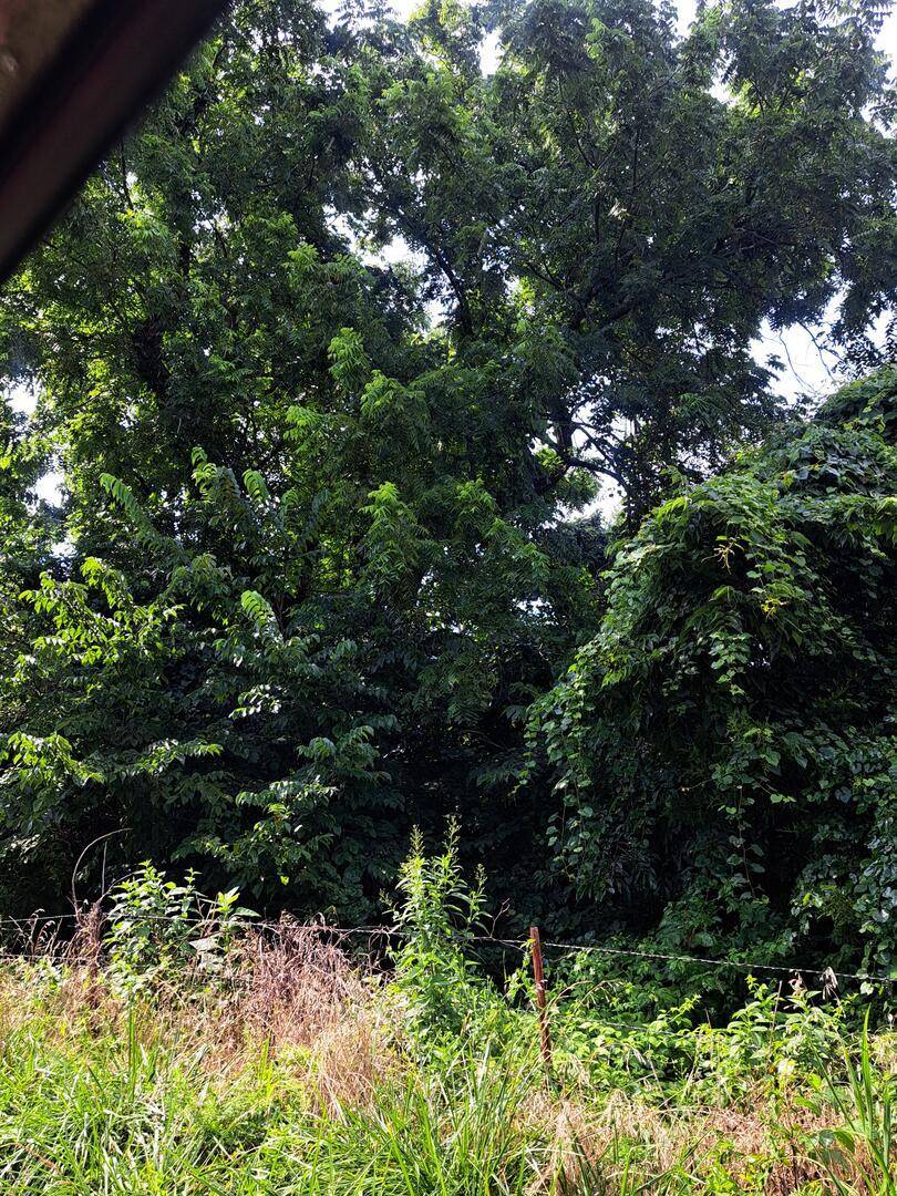 000 Reindeer RD, Granby, MO 64844