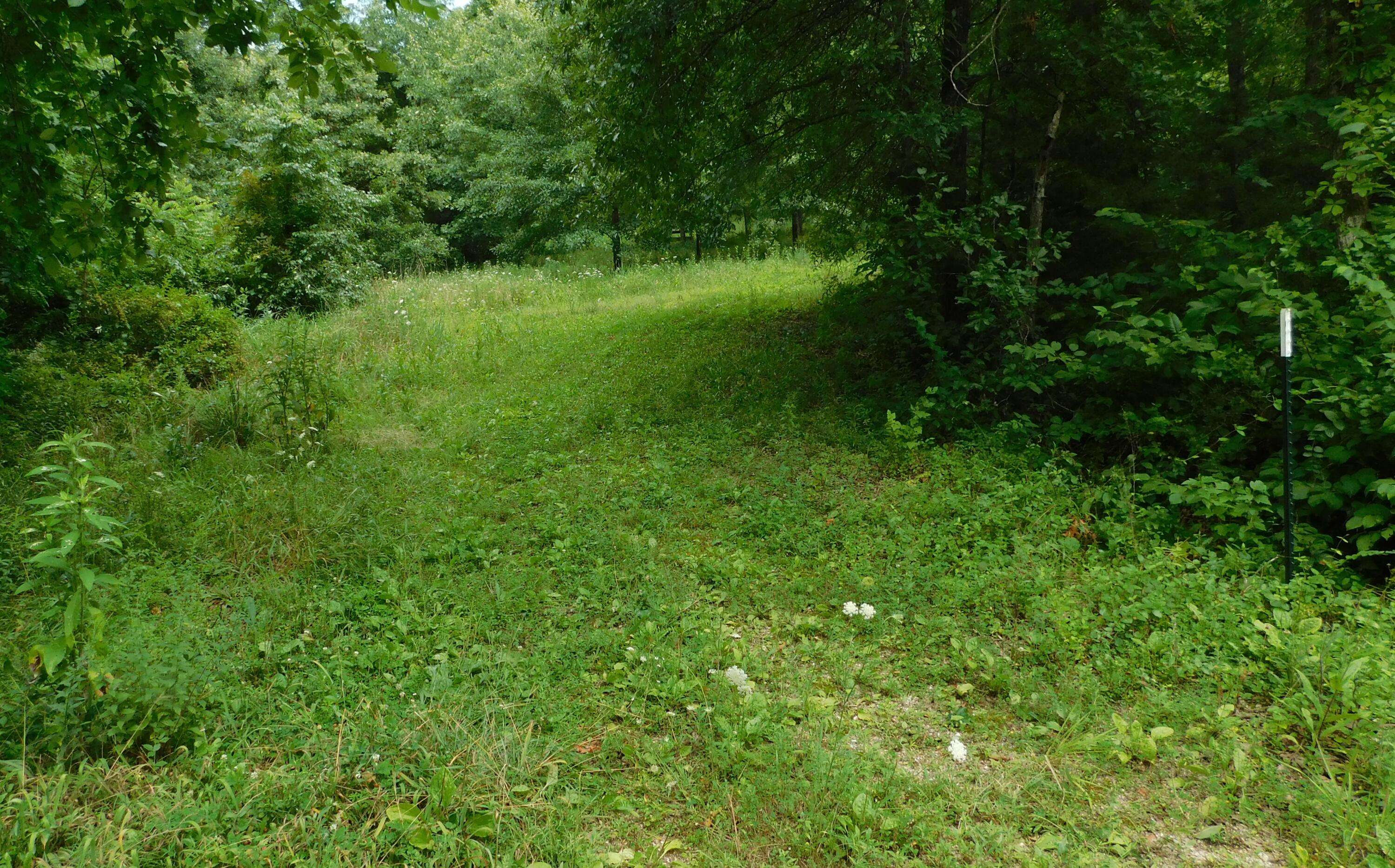 4286 SE 871 RD, Collins, MO 64738