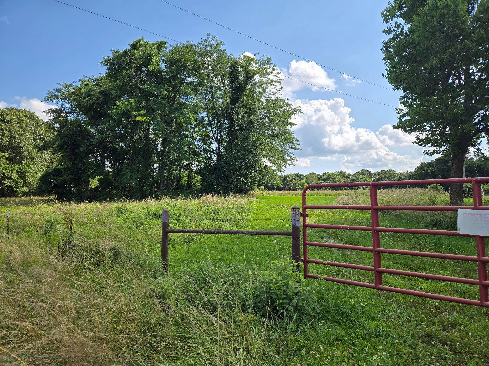000 Darter RD, Elkland, MO 65644