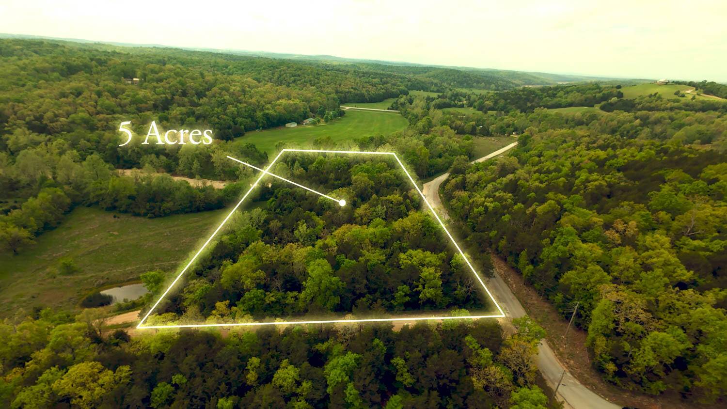 000 County Road 817, Gainesville, MO 65655