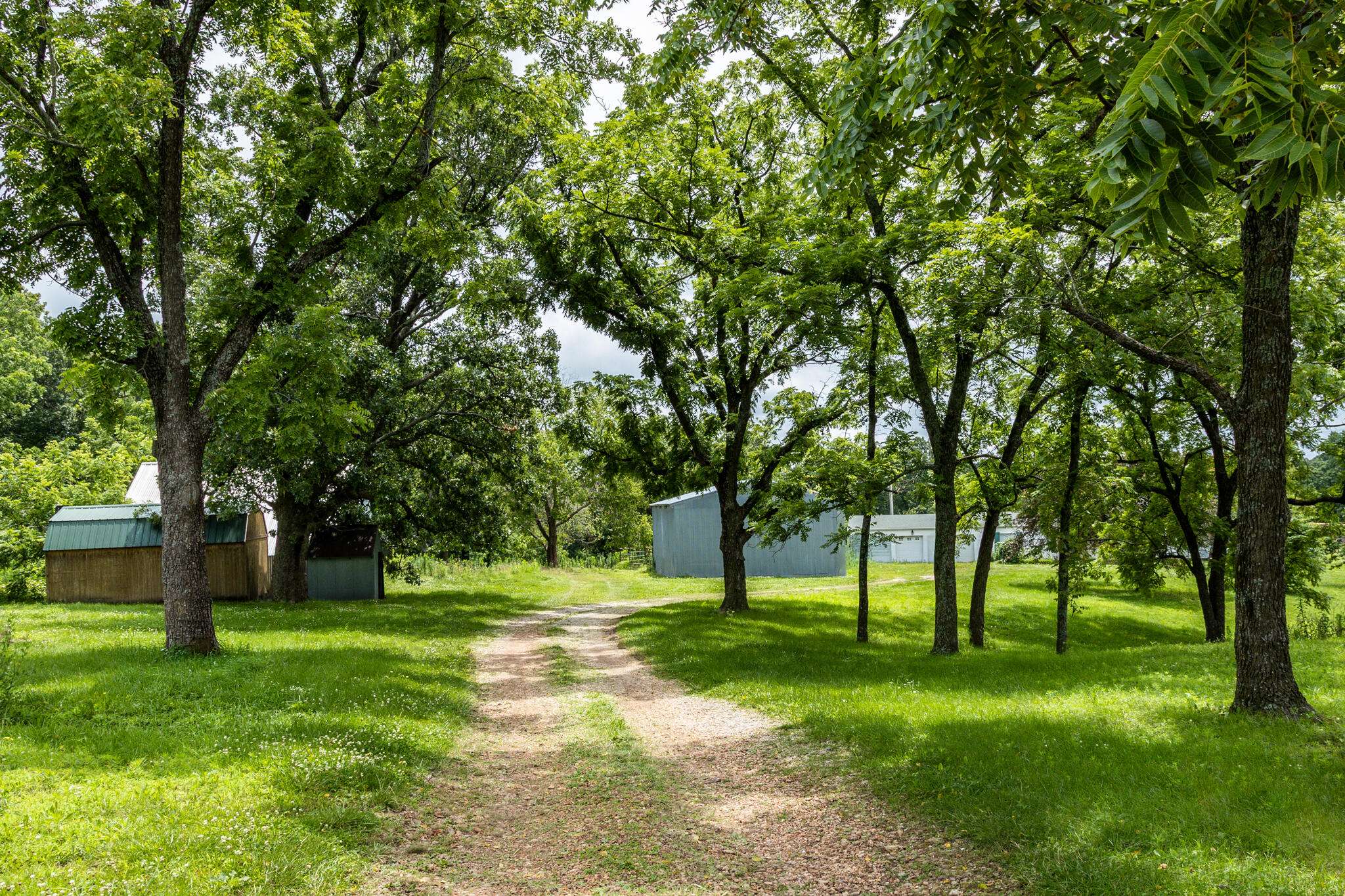 1016 Carnell RD, Rocky Comfort, MO 64861