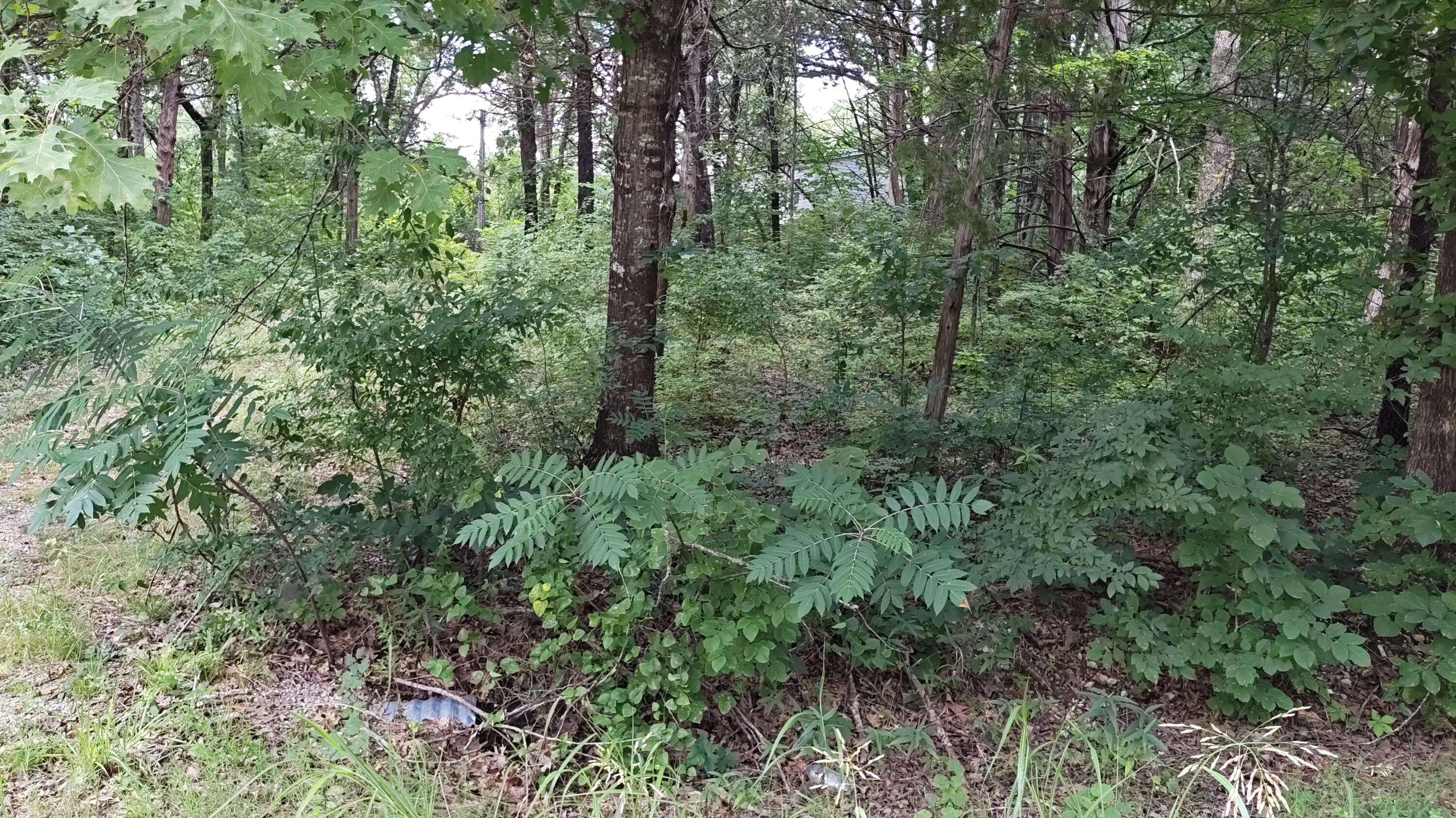 4185 Oakwood RD, Merriam Woods, MO 65740