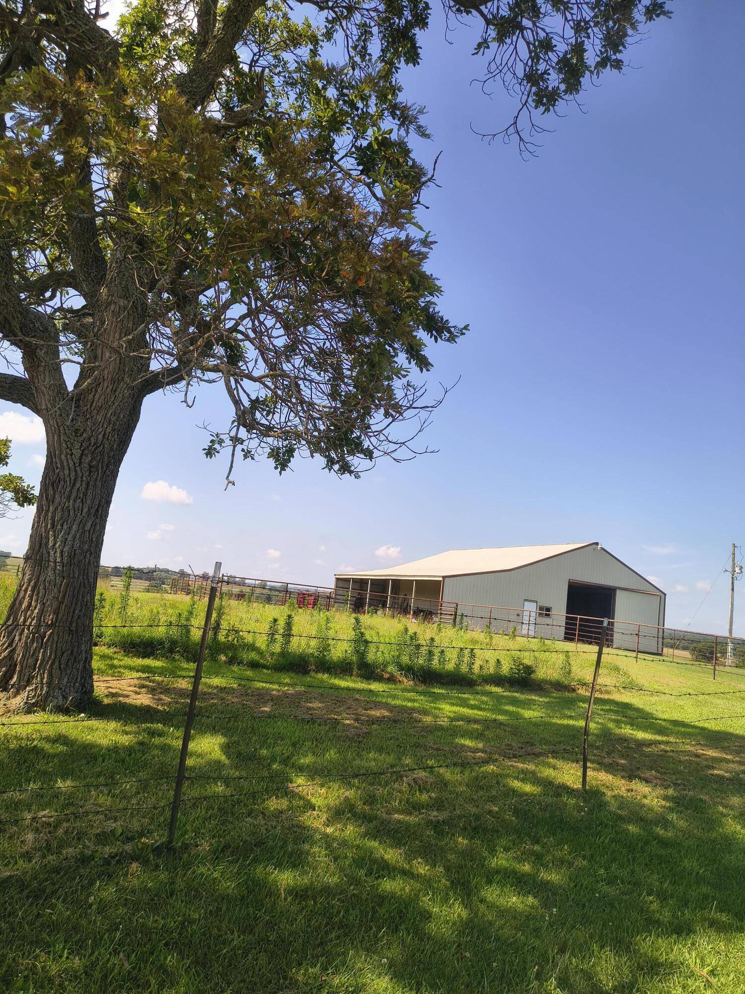 25059 W State Highway Tt, Crane, MO 65633