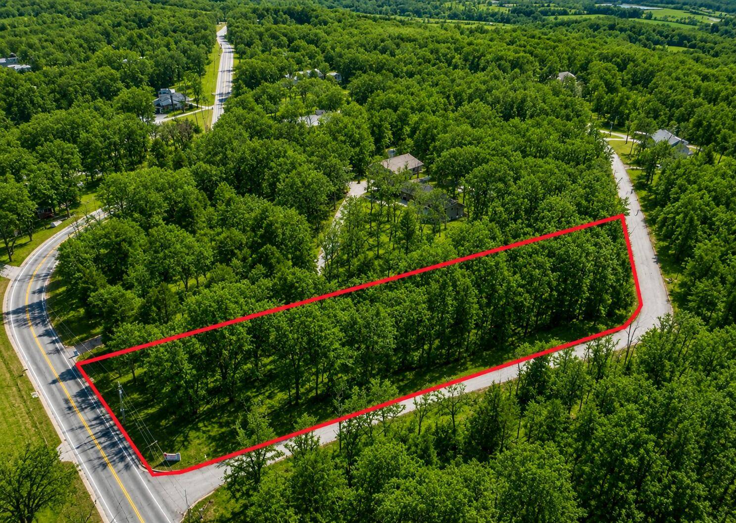 Lot 6 Woodbury DR, Forsyth, MO 65653