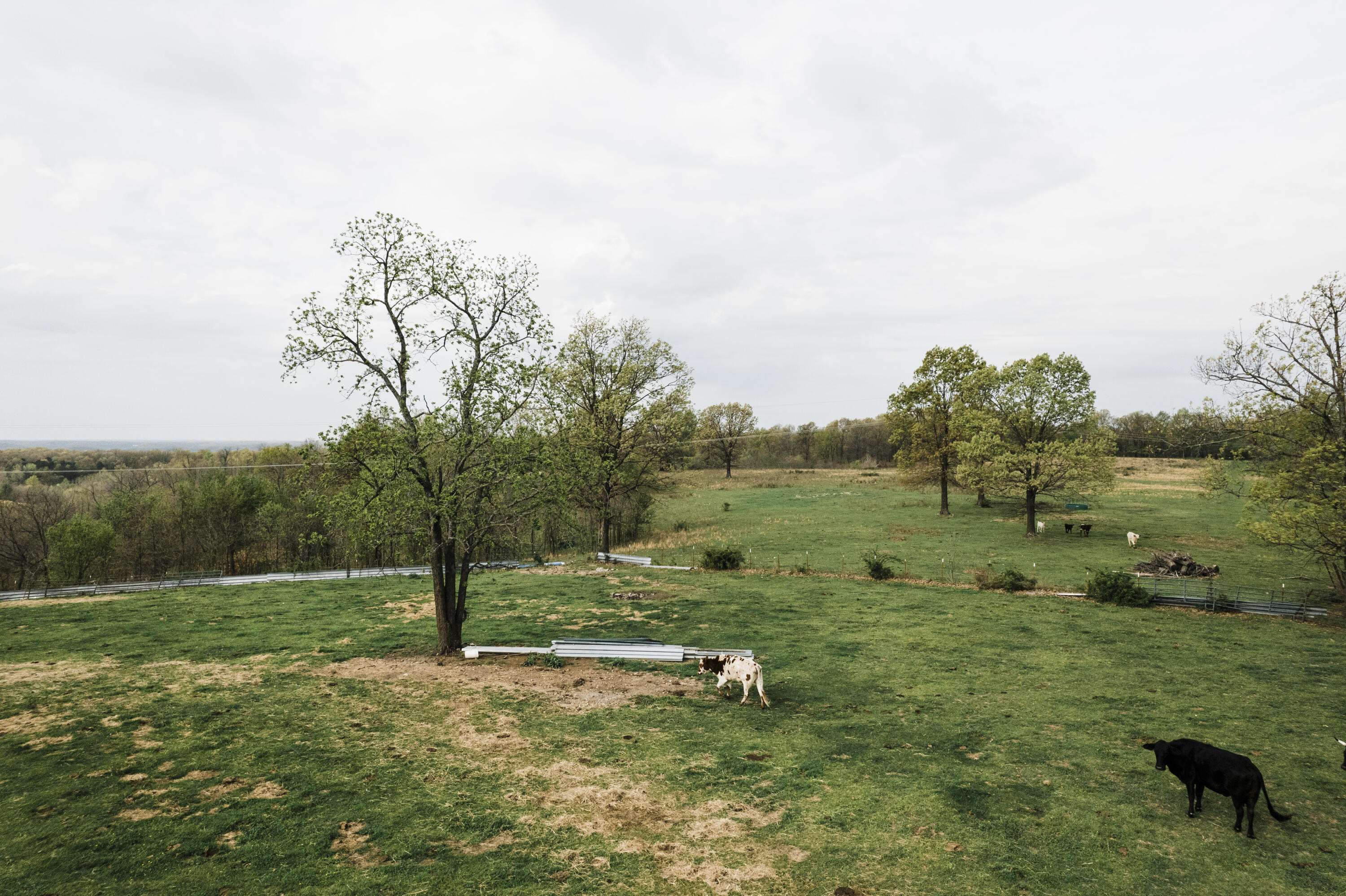 000 Buckeye LN, Stella, MO 64867