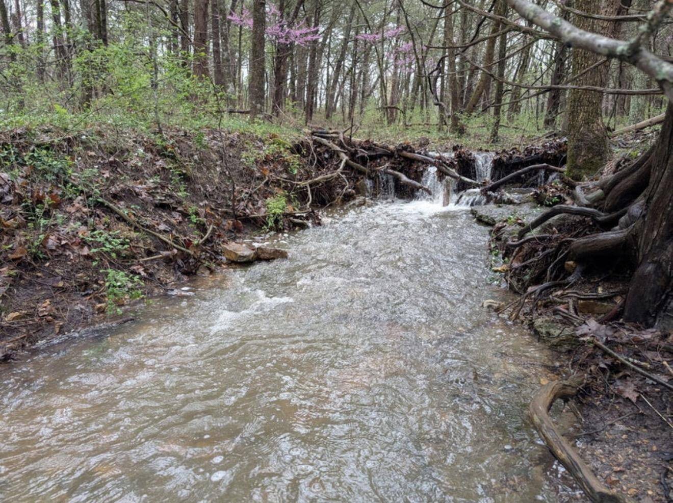 000 Grier Branch Lot 4 RD, Strafford, MO 65757