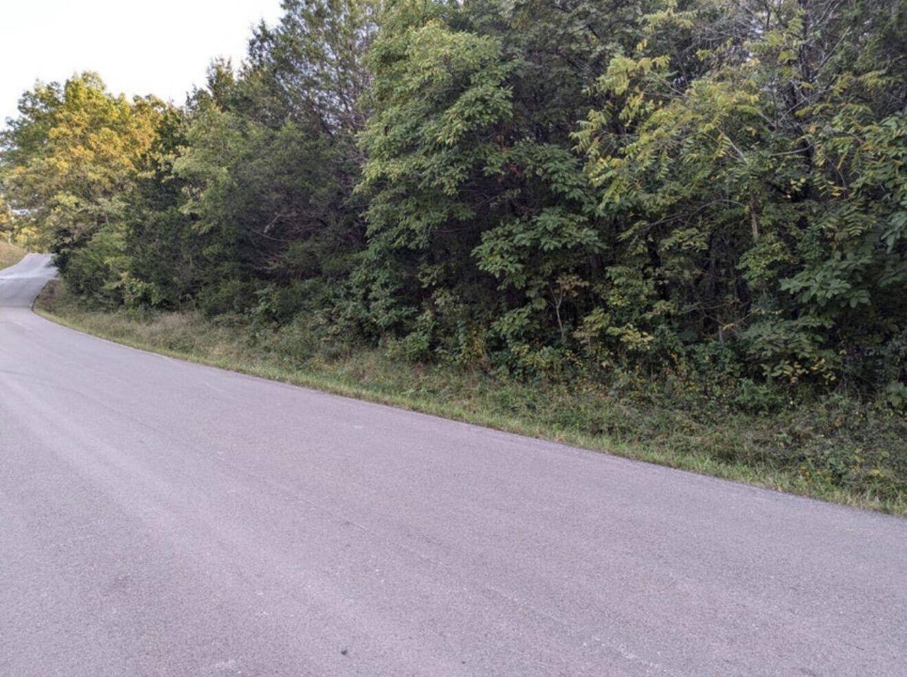 000 Grier Branch Lot 4 RD, Strafford, MO 65757