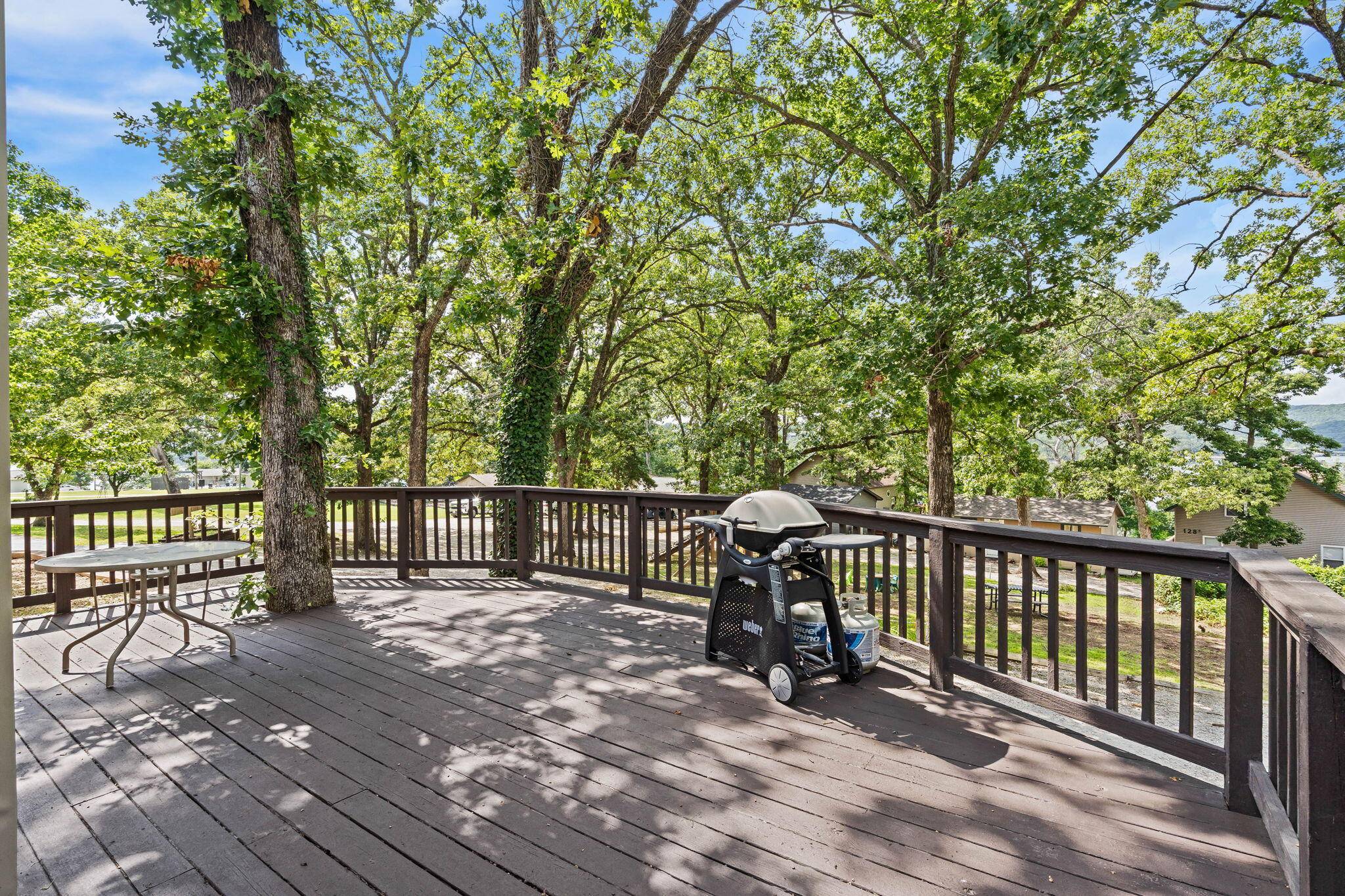 58 Kings Cove LN, Reeds Spring, MO 65737