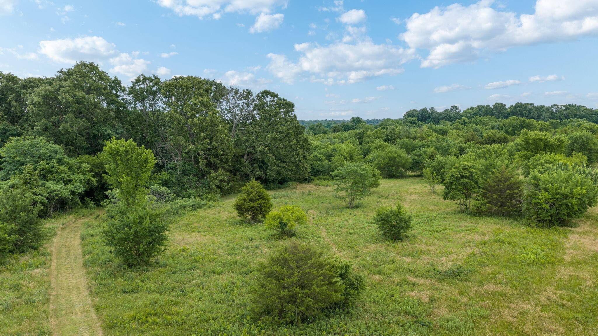 Tbd N Farm Road 71, Bois D Arc, MO 65612