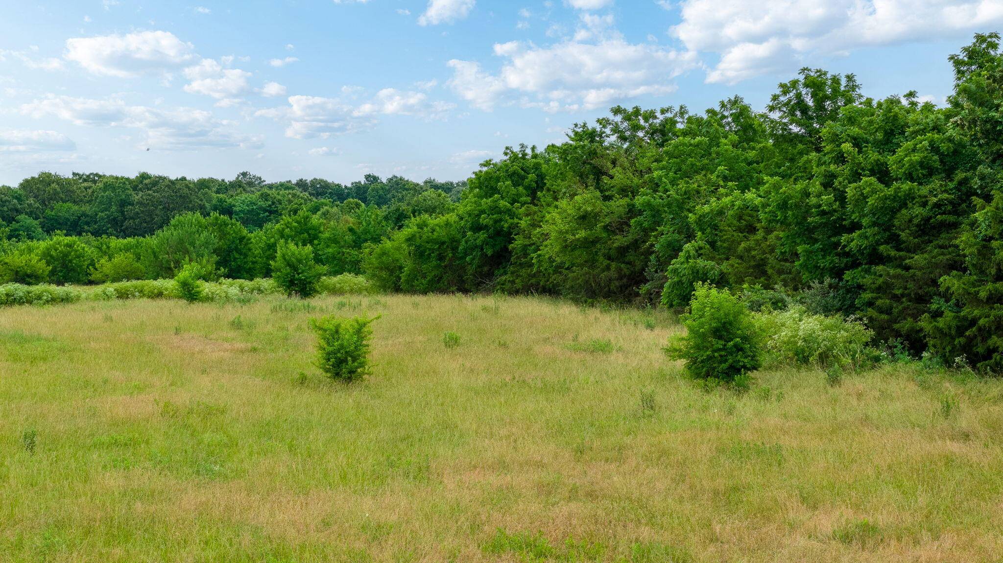 Tbd N Farm Road 71, Bois D Arc, MO 65612