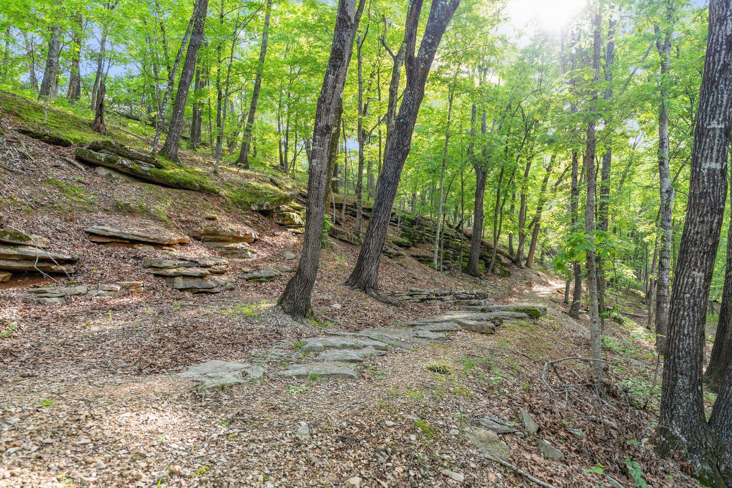 000 El Monte - Lot 2, Branson, MO 65616