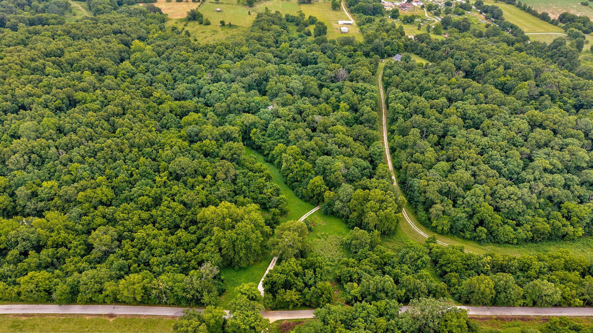 326 Arliss DR, Crane, MO 65633