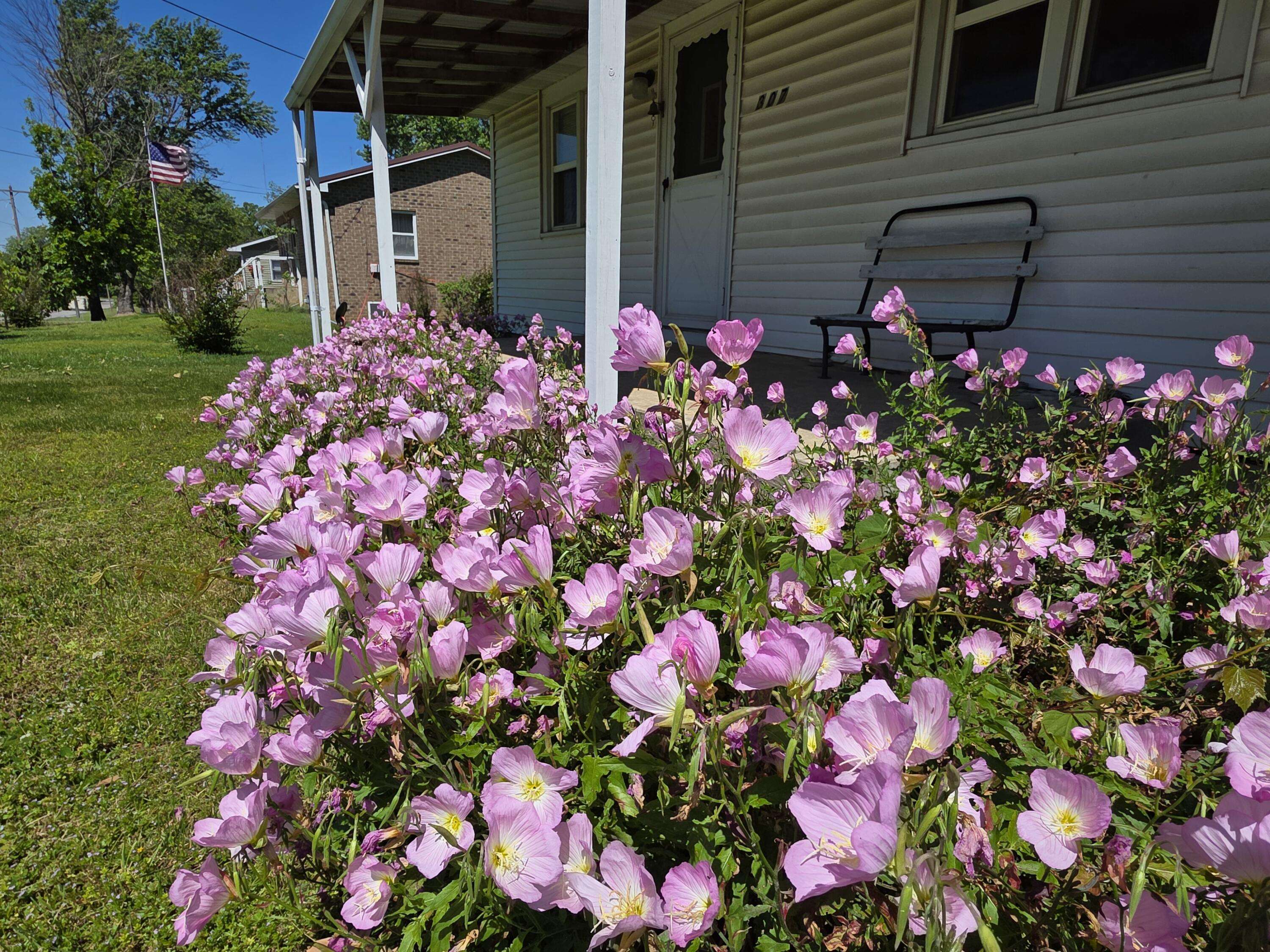 307 W Carman RD, El Dorado Springs, MO 64744