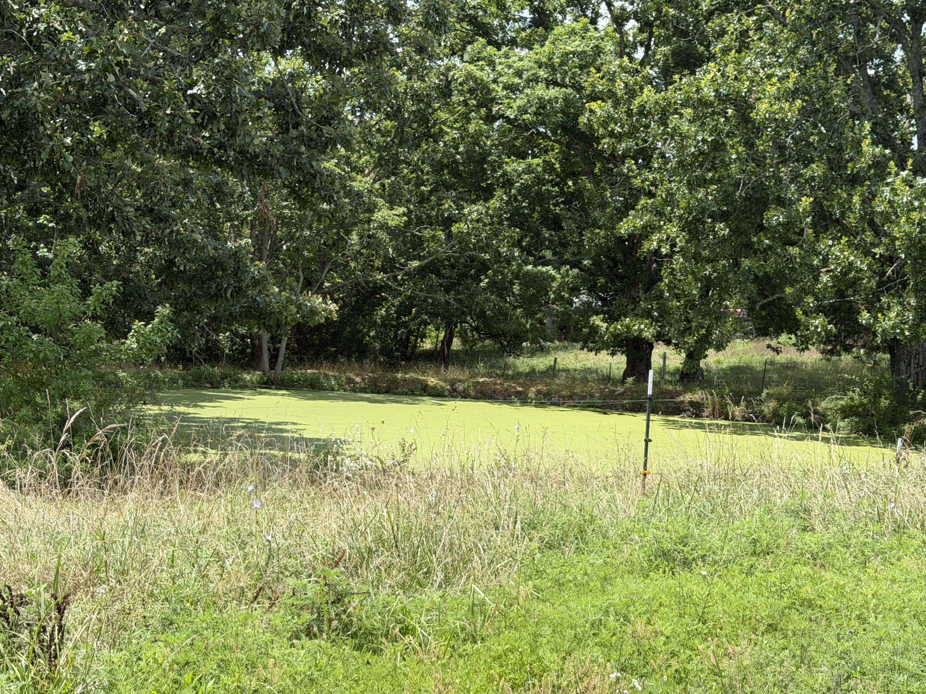0000 County Road 105, Ava, MO 65608