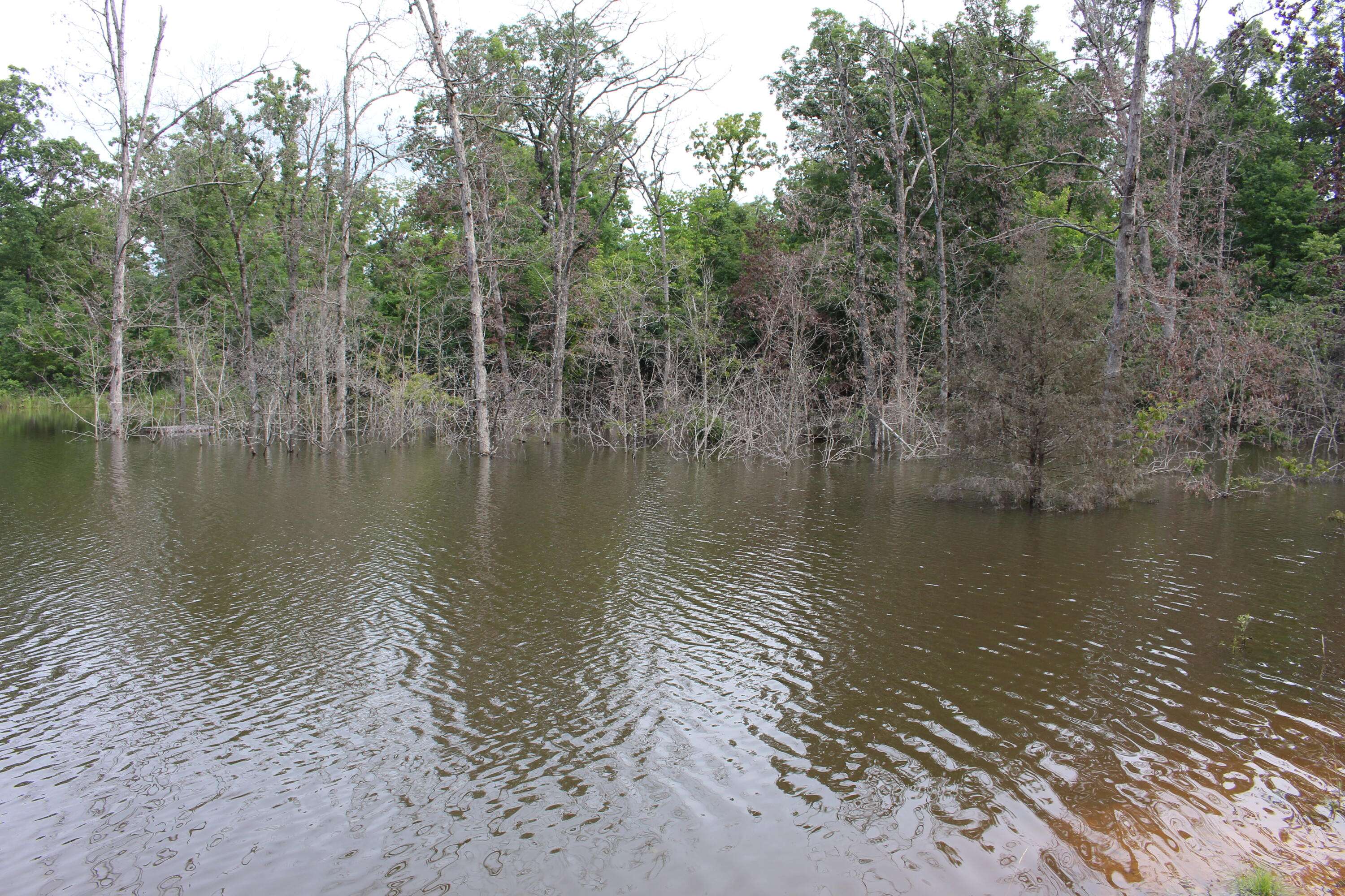Tbd Kolb Hollow RD, Climax Springs, MO 65324