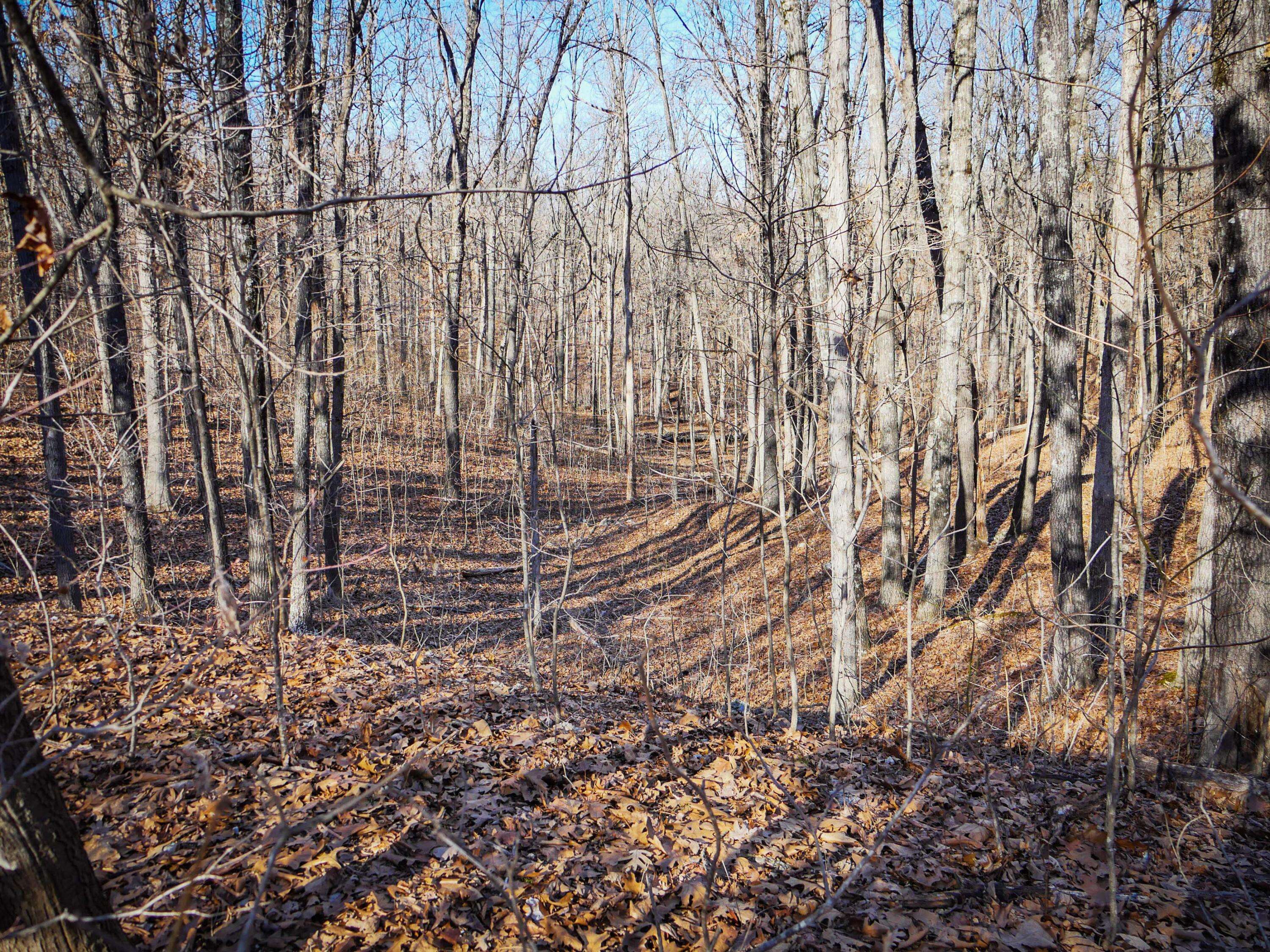 000 Ridge Trail RD #Lot D, Tunas, MO 65764