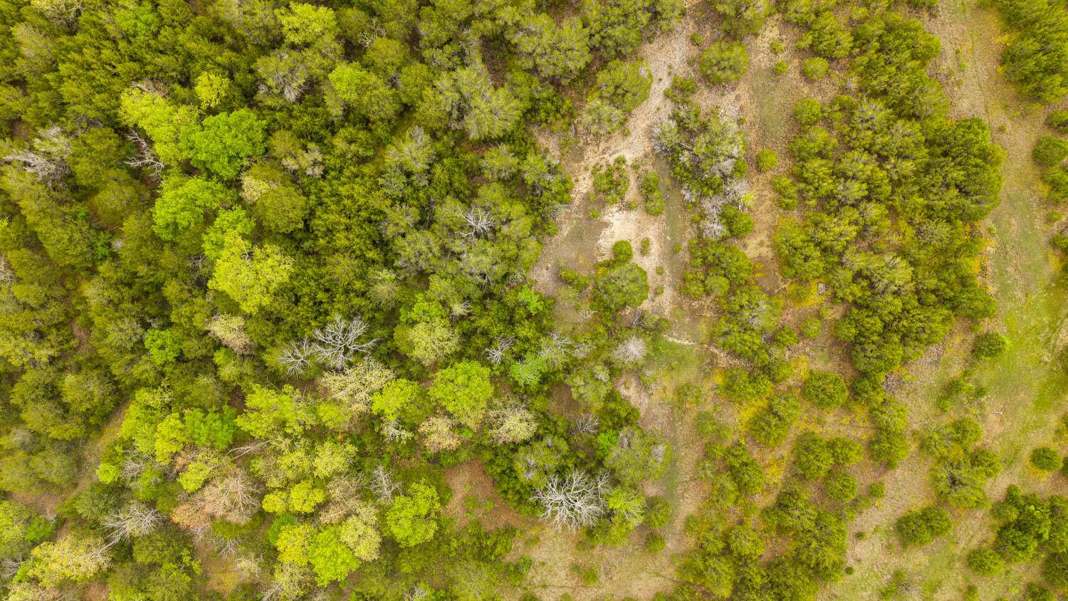 Tract 3 Little Woods RD, Elizabeth, AR 72531