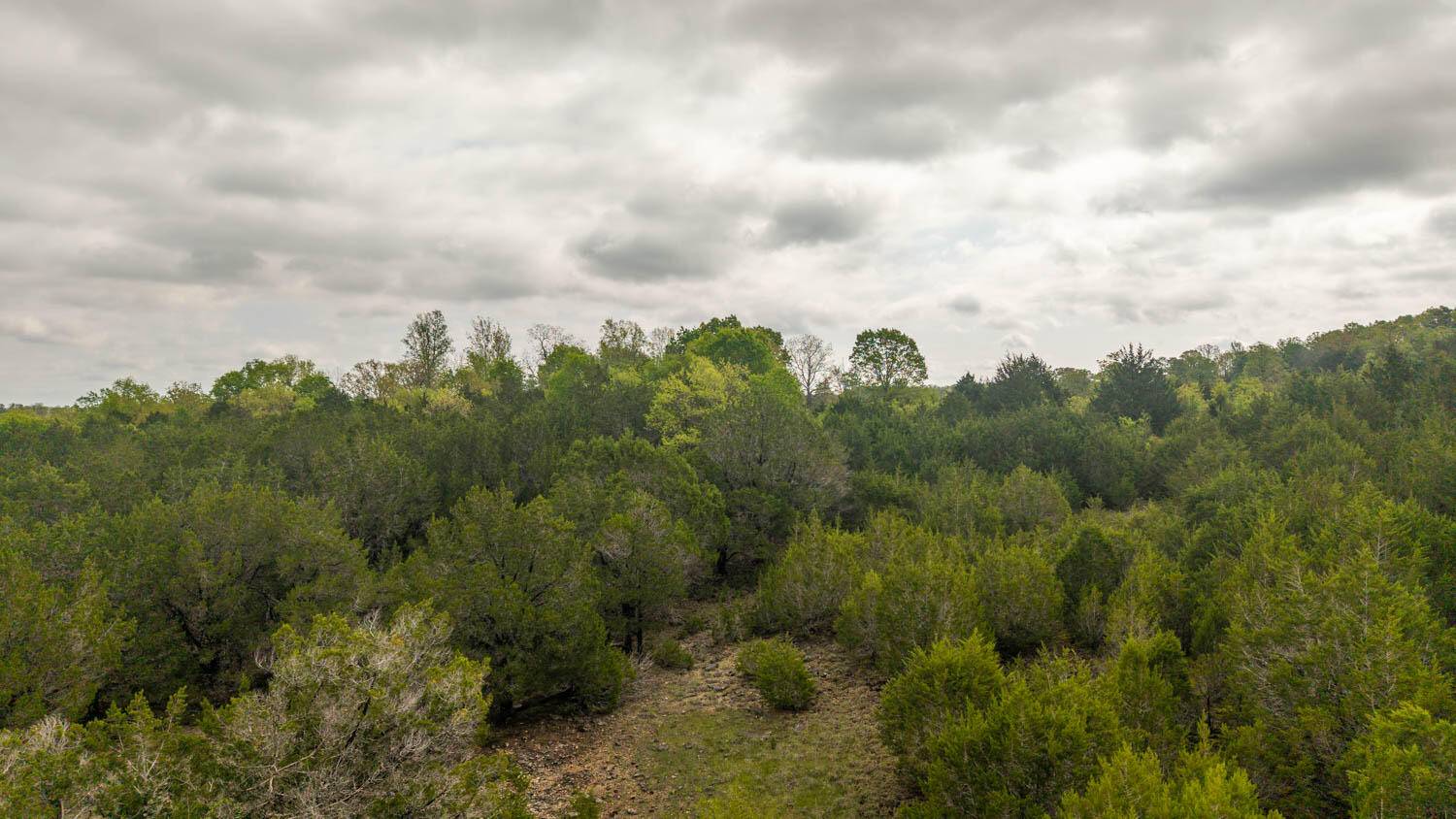 Tract 6 Little Woods RD, Elizabeth, AR 72531