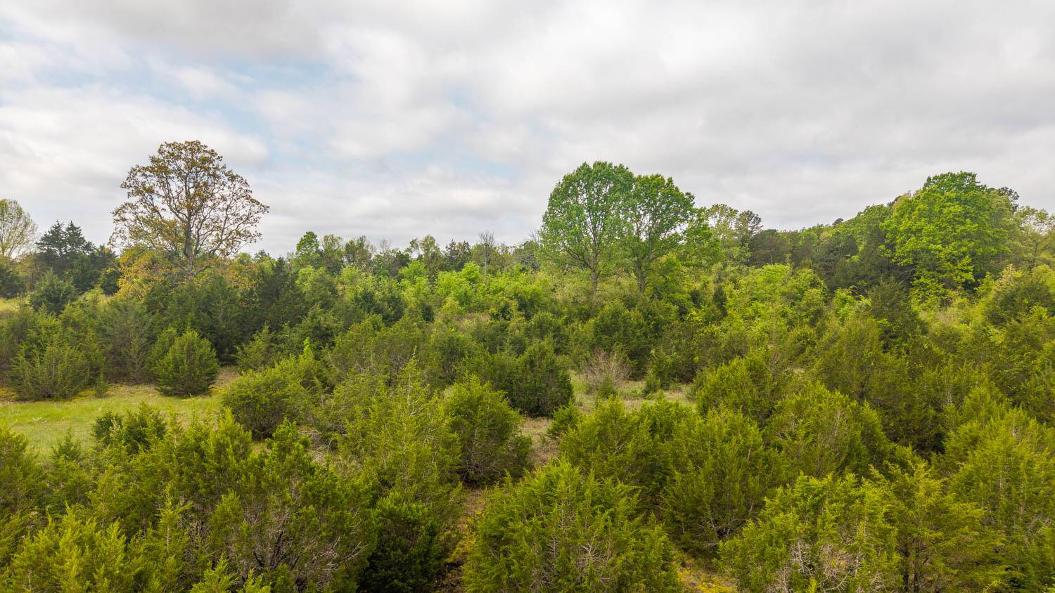 Tract 8 Little Woods RD, Elizabeth, AR 72531