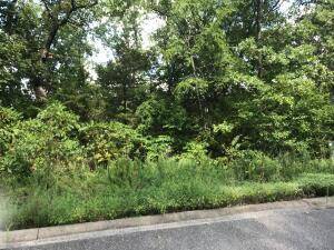 75 Skylee DR, Hollister, MO 65672