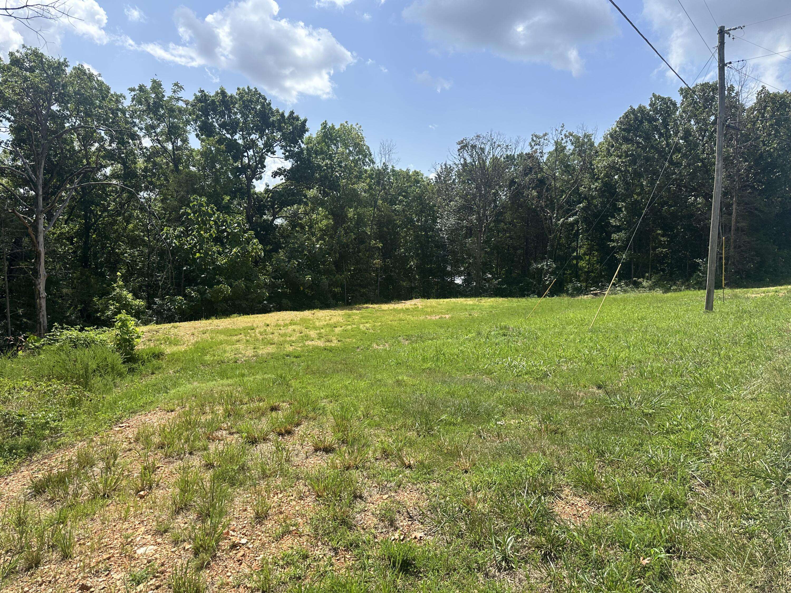 234 Goldfinch LN, Shell Knob, MO 65747