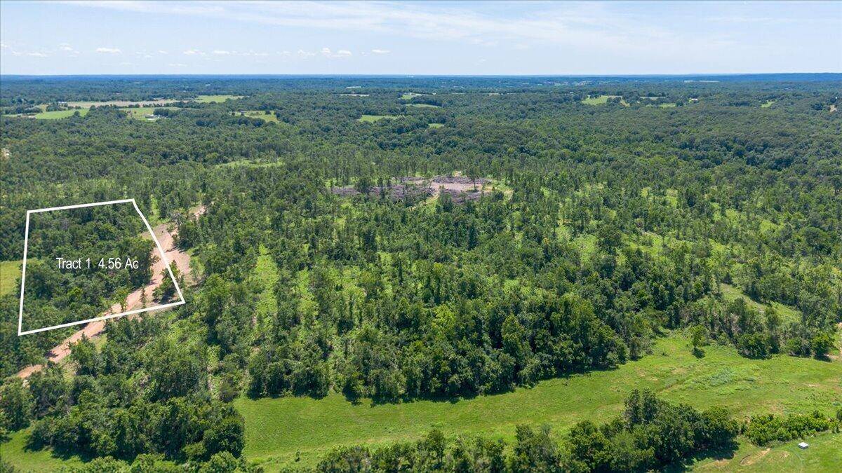 Lot 1 Adams RD, Goodman, MO 64843