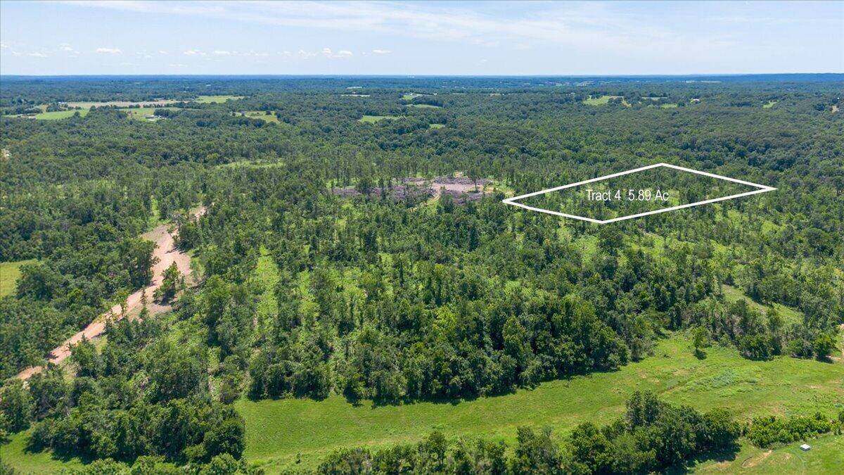 Lot 4 Adams RD, Goodman, MO 64843