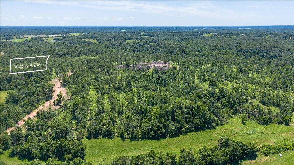 Lot 13 Adams RD, Goodman, MO 64843