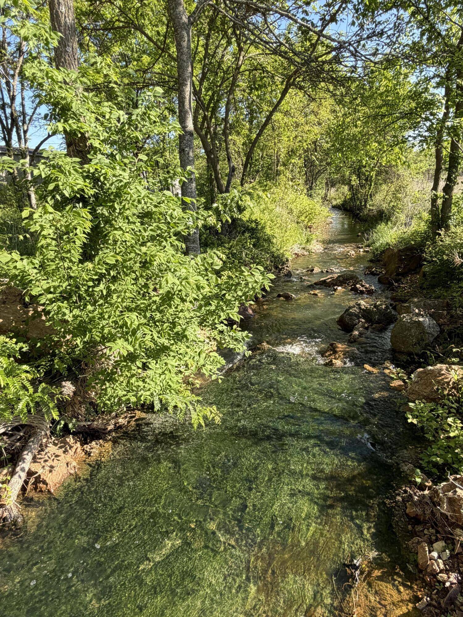 4811 Hwy Mm, Mountain Grove, MO 65711
