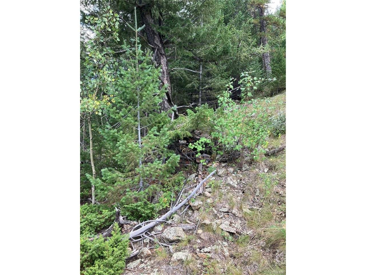 7 Miners, Black Hawk, CO 80422