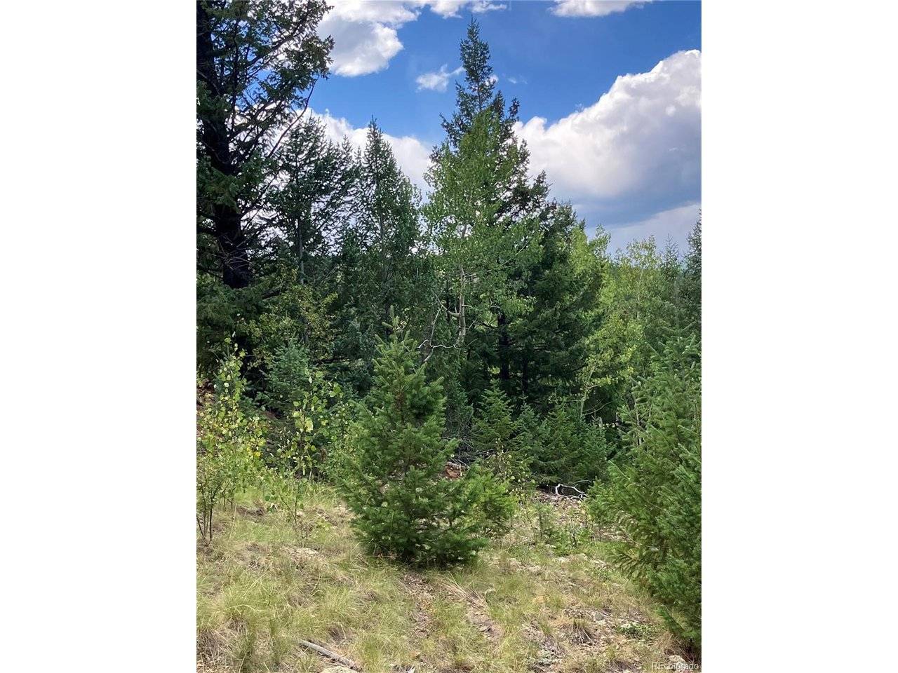 7 Miners, Black Hawk, CO 80422