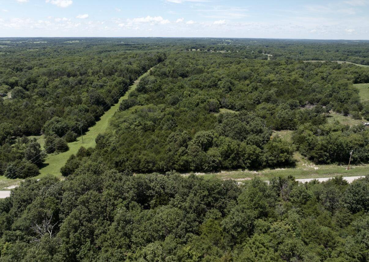 378 State Route U, Walnut Grove, MO 65770