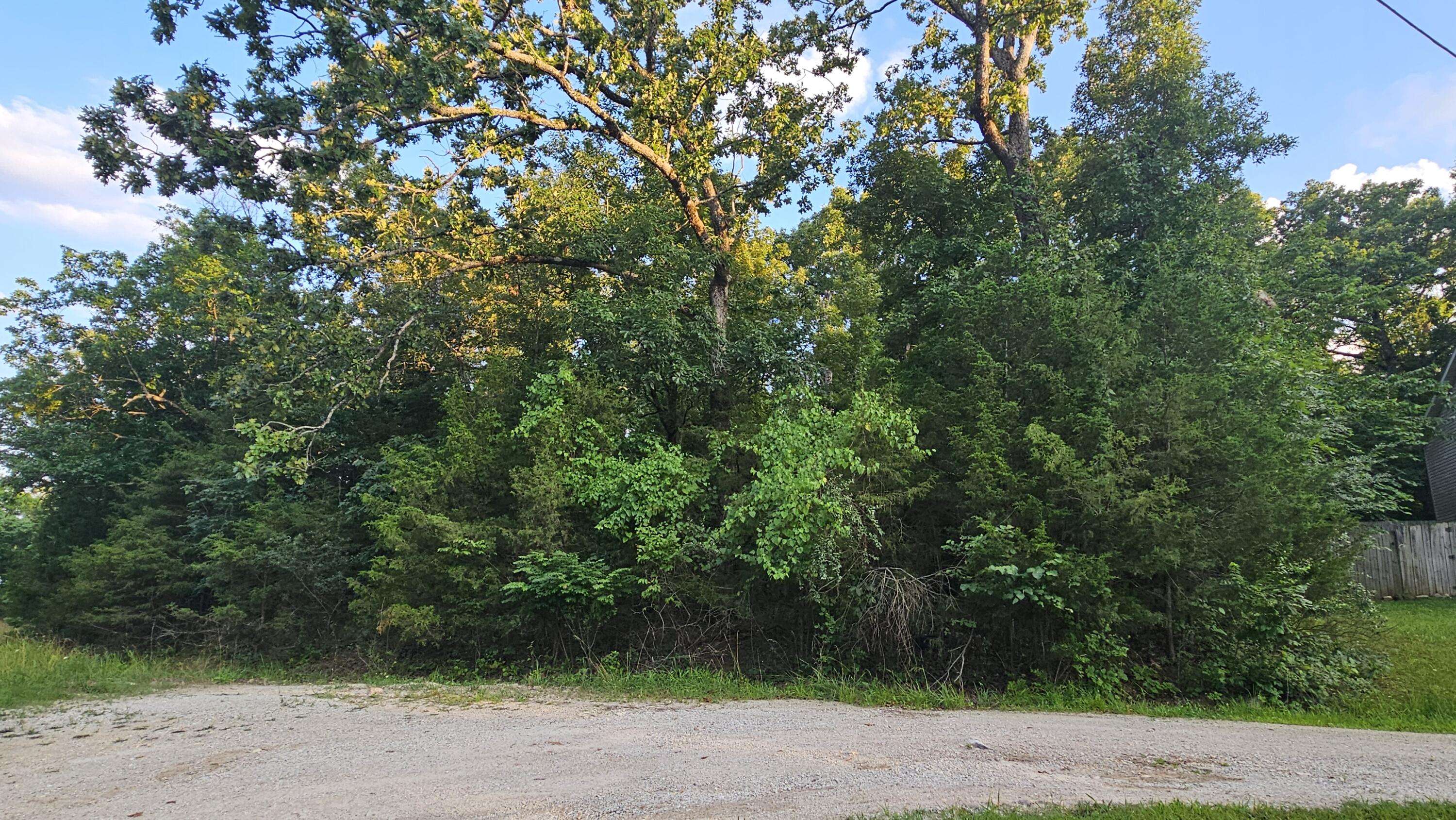000 Morningview, Merriam Woods, MO 65740