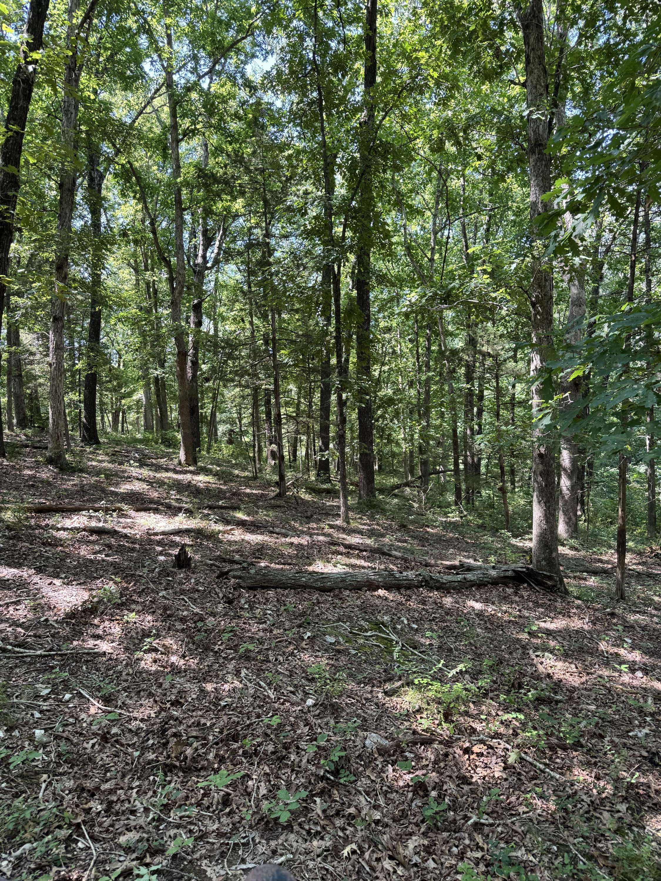 000 Clear Sky DR, Marshfield, MO 65706