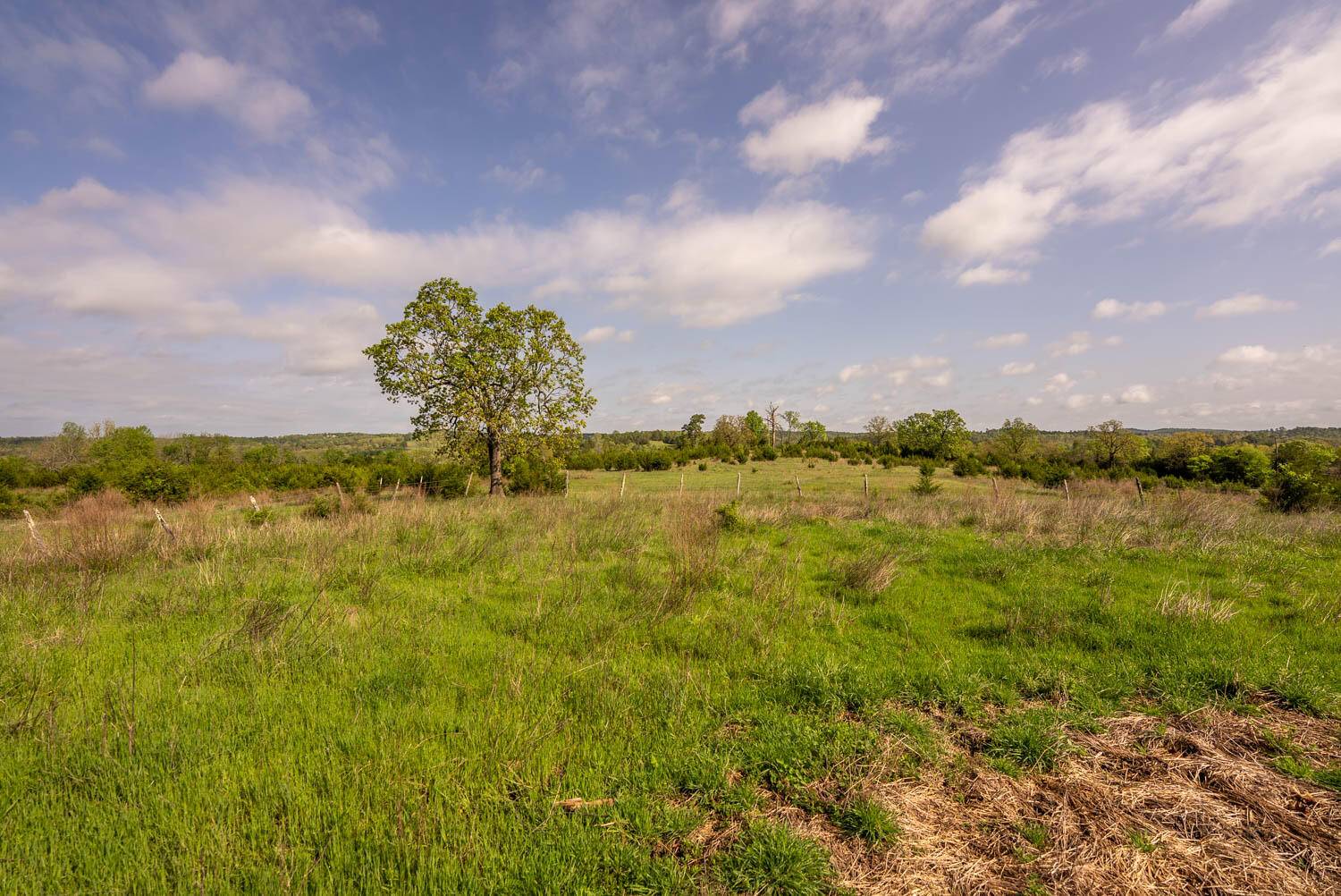 Tract 2 Little Woods RD, Elizabeth, AR 72531