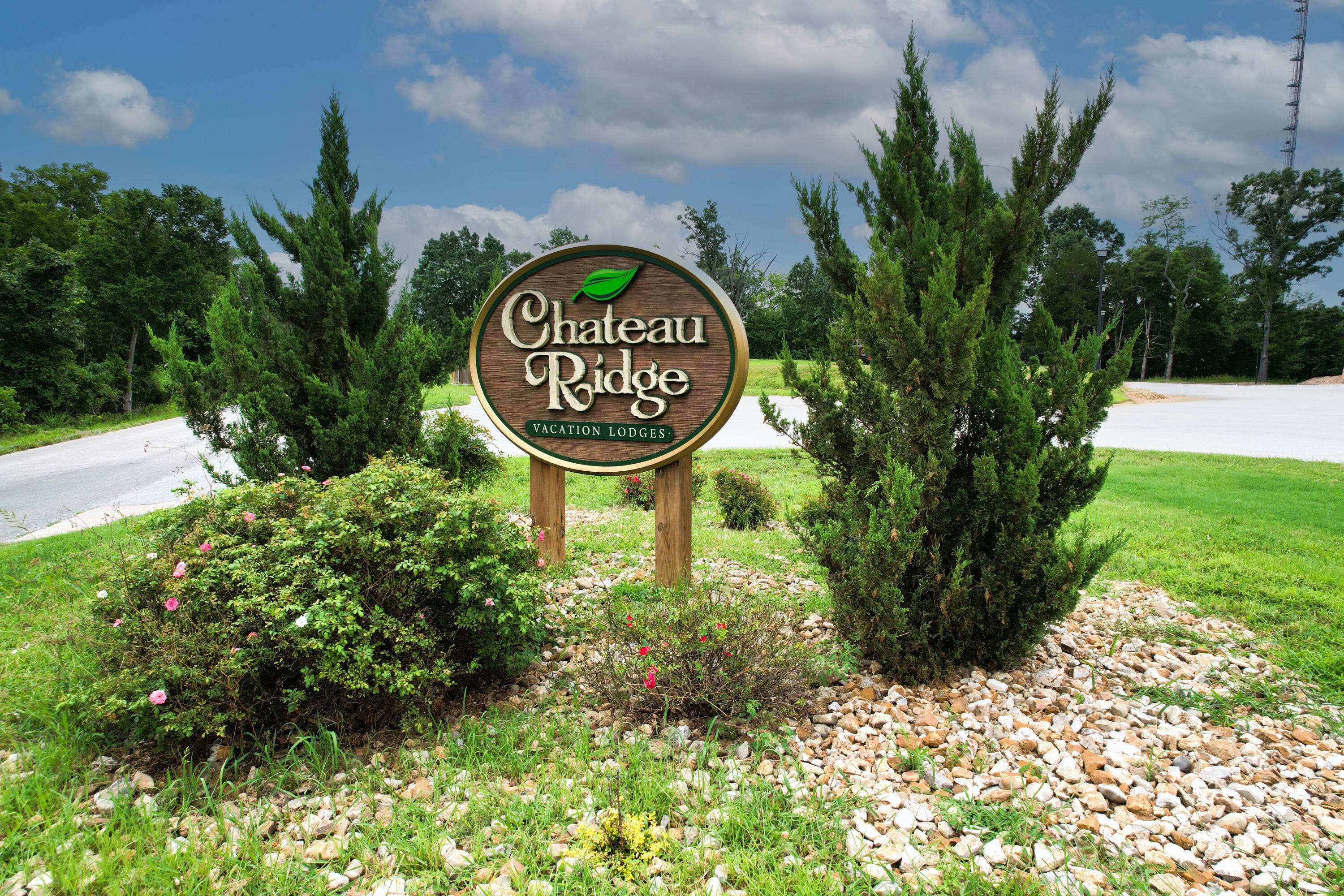 160 Chateau Ridge TRL, Branson, MO 65616