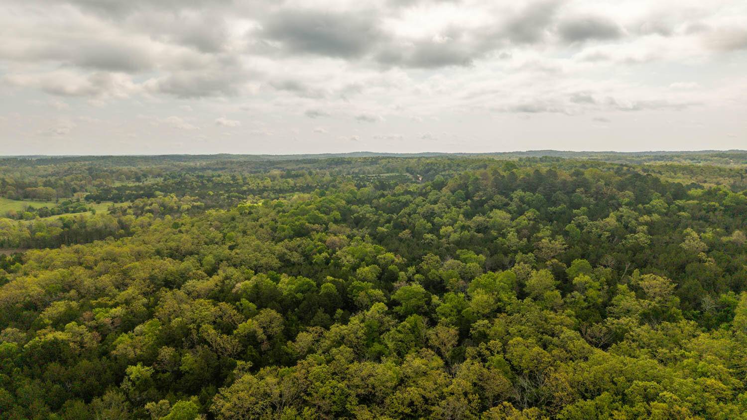 Tract 4 Little Woods RD, Elizabeth, AR 72531