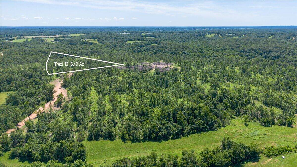 Lot 12 Adams RD, Goodman, MO 64843