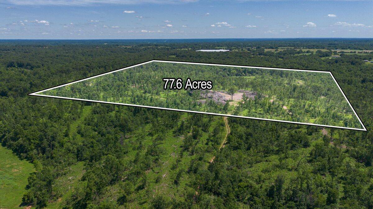 Lot 14 Adams RD, Goodman, MO 64843