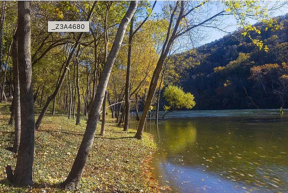 149 The Bluffs #Apt 6, Branson, MO 65616
