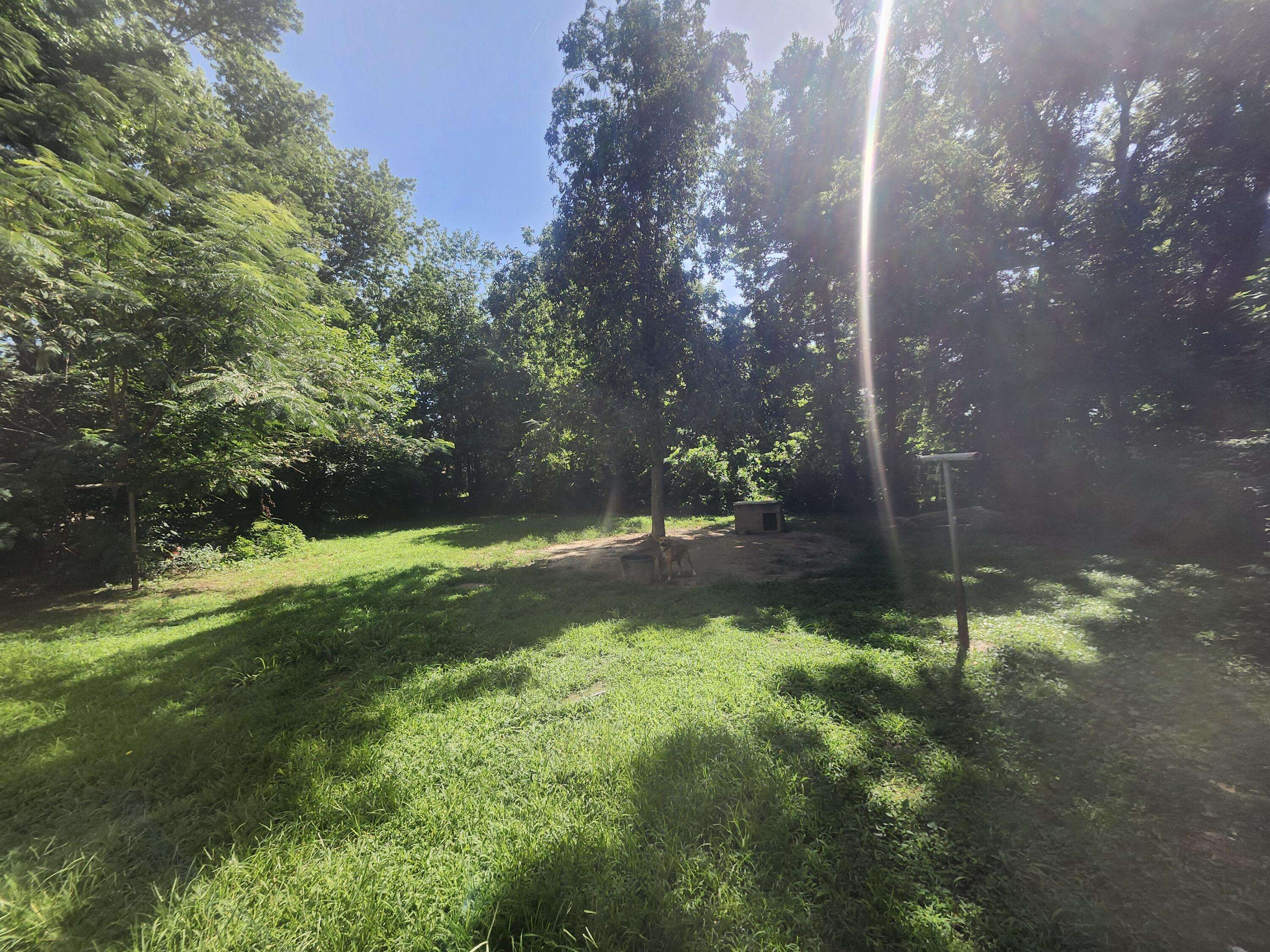 304 Bryan ST, Houston, MO 65483