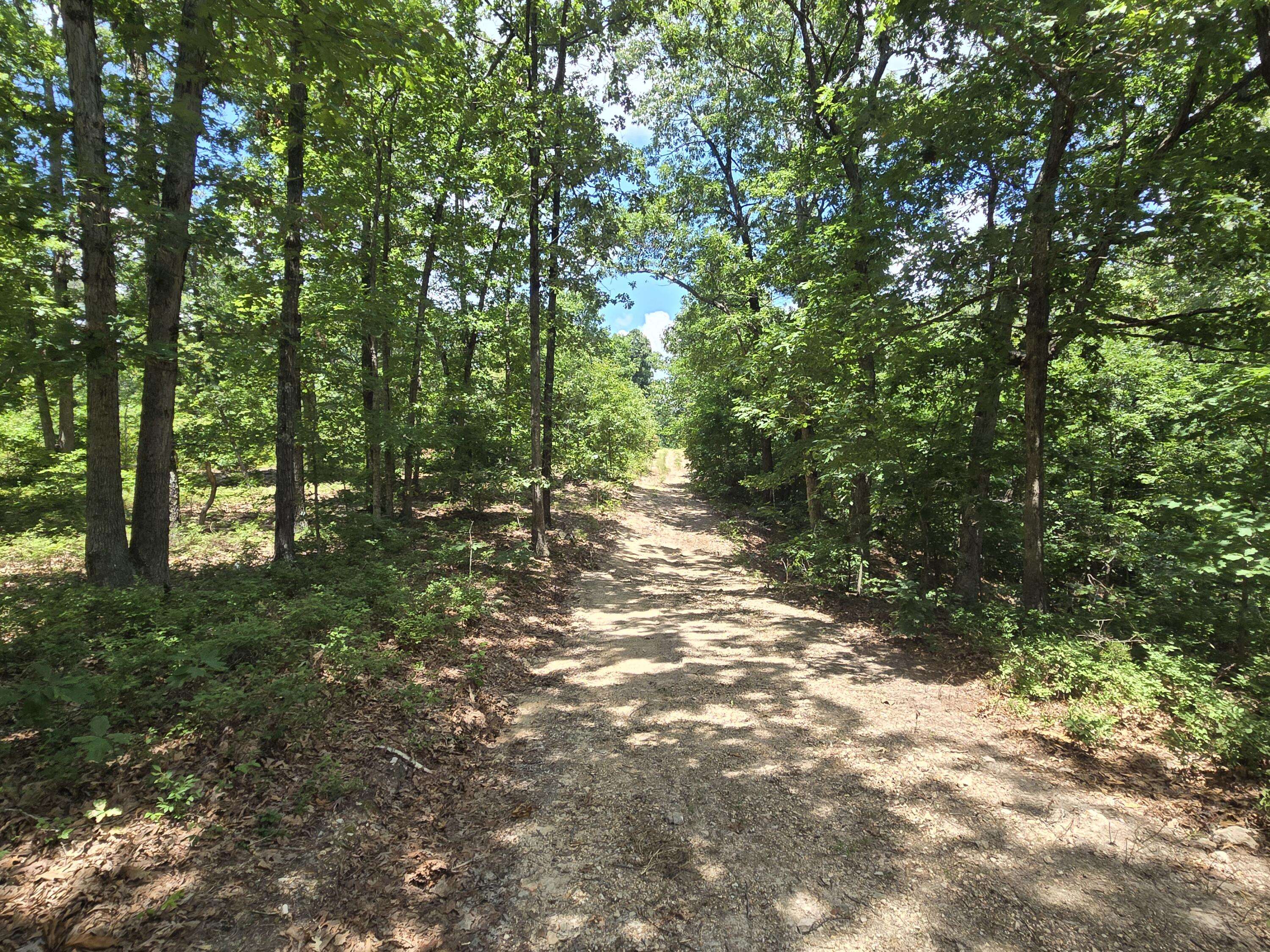 Tract 8 Highway C, Purdy, MO 65734