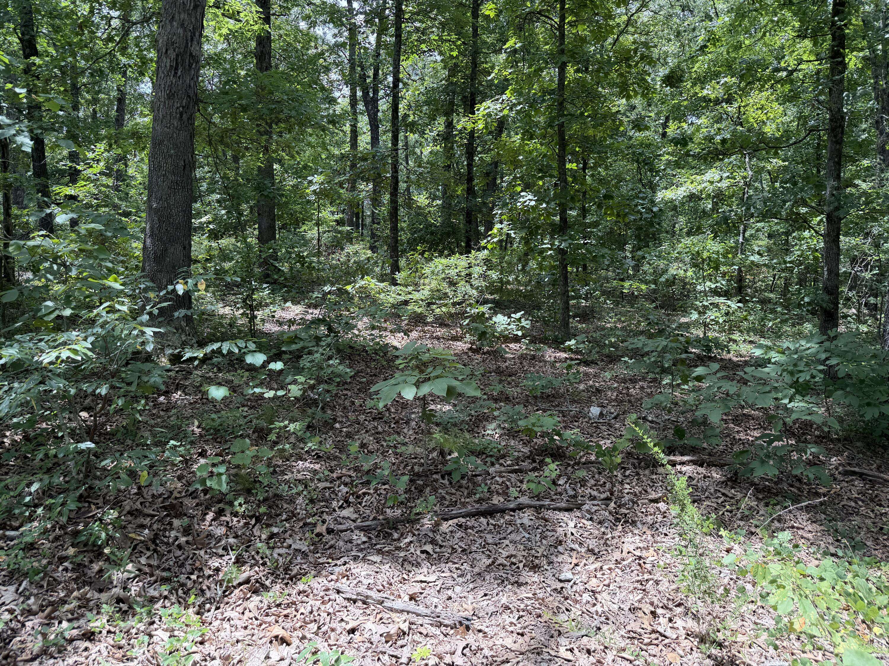 000 State Hwy. 76, Cape Fair, MO 65624