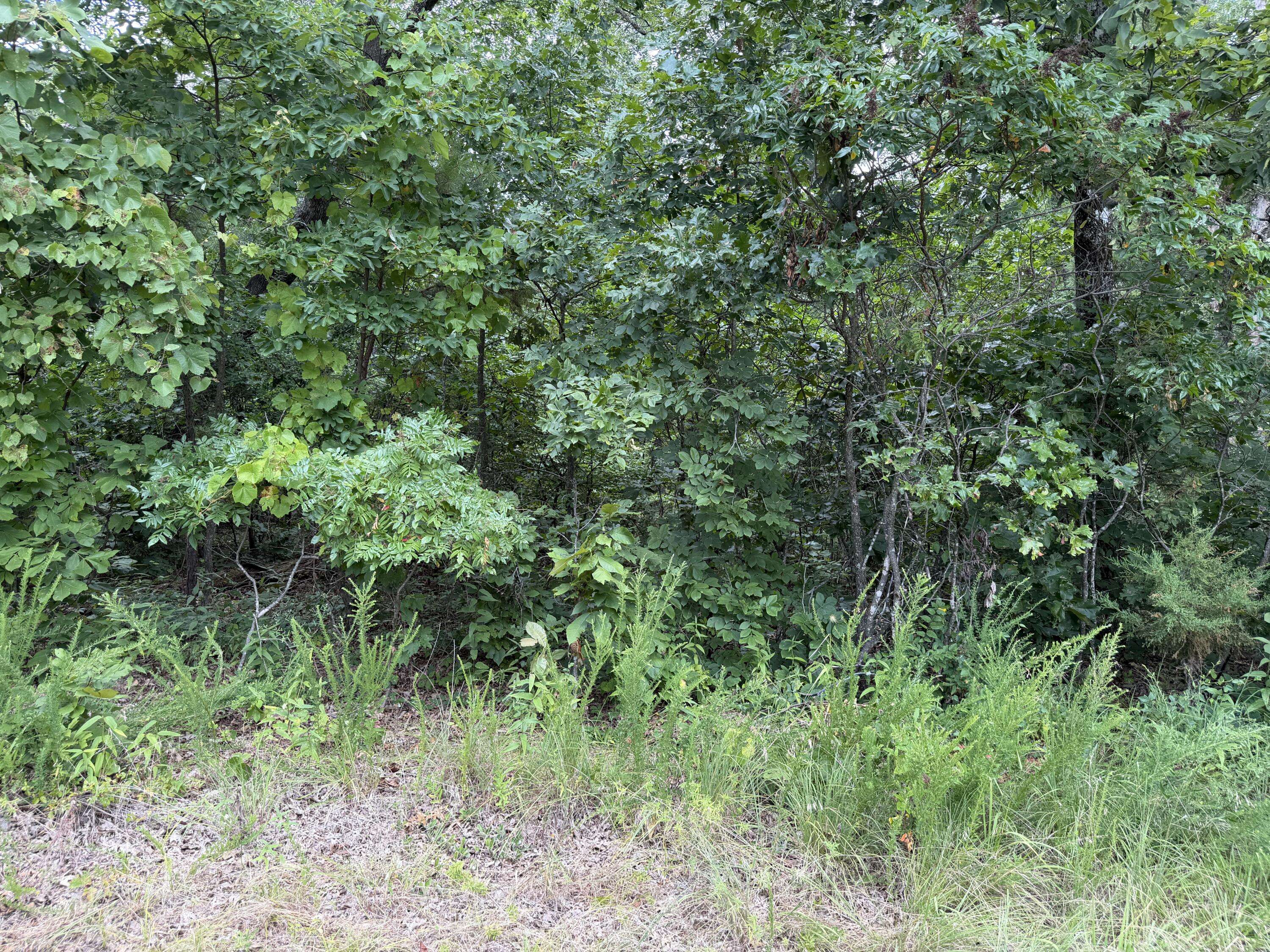 000 State Hwy. 76, Cape Fair, MO 65624