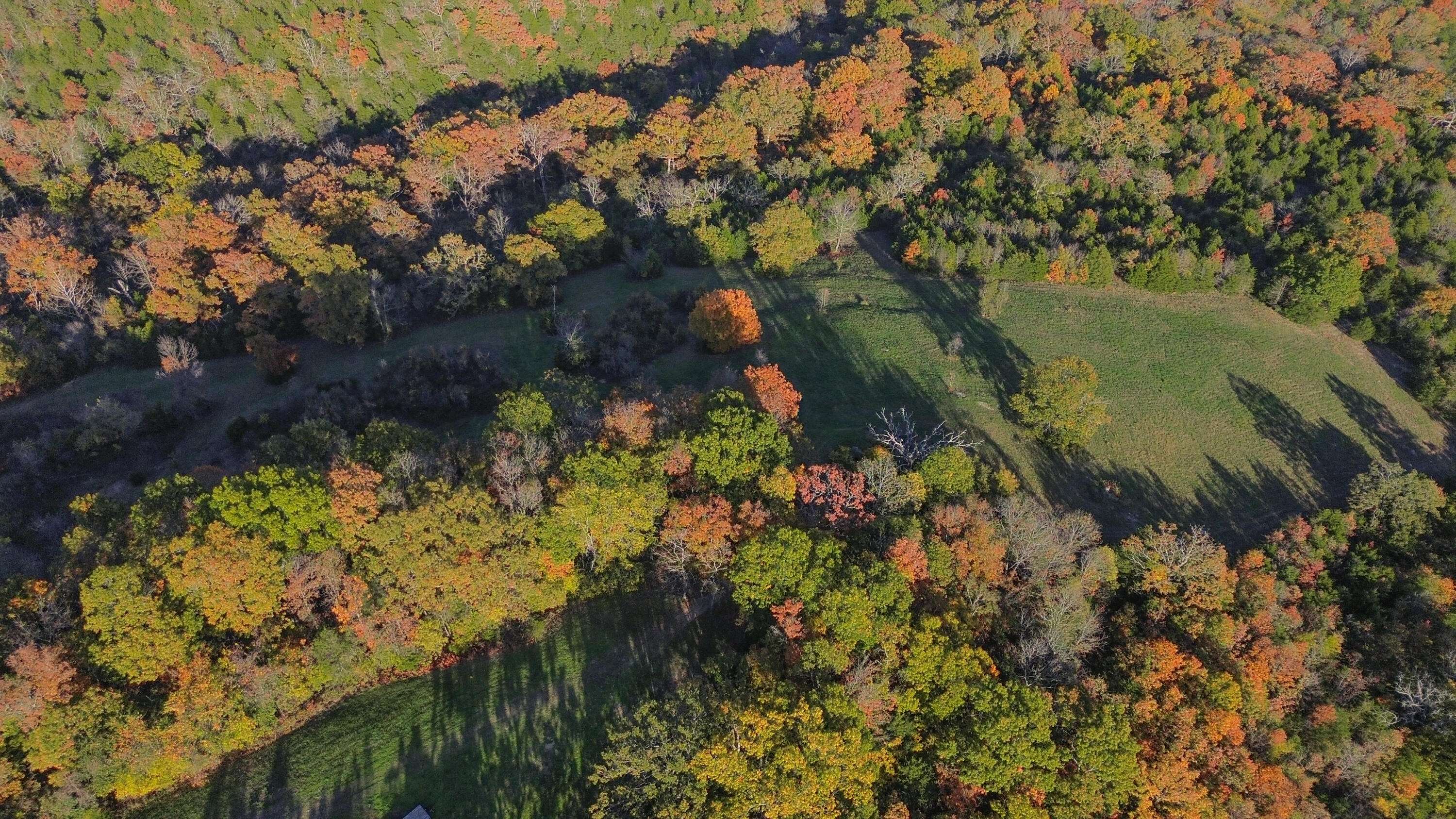 3994 Us Highway 160, Walnut Shade, MO 65771