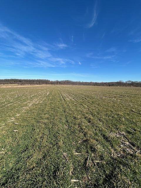 000 Holly RD, Pierce City, MO 65723