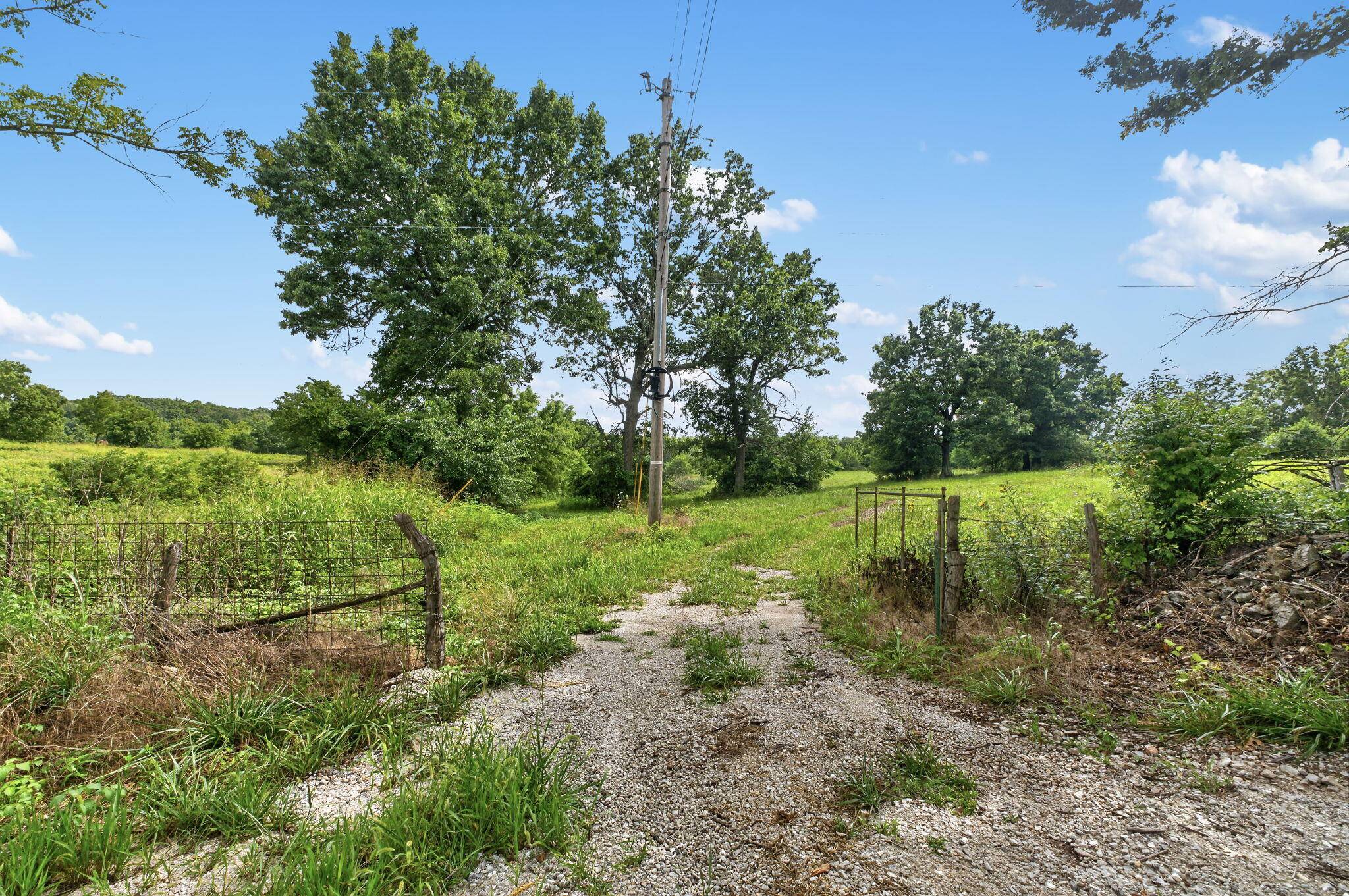 000 N Farm Road 53, Walnut Grove, MO 65770
