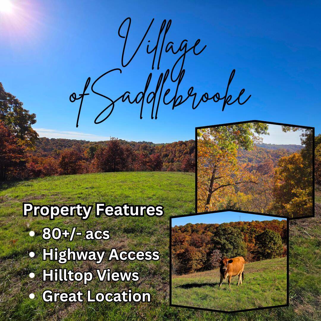 000 State Highway Bb, Saddlebrooke, MO 65630